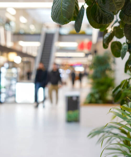 Abstract blur and defocused shopping mall or department store interior for background, frame from green plants